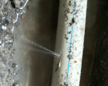 青岛卫生间测漏水多少钱