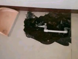 青岛卫生间测漏水多少钱